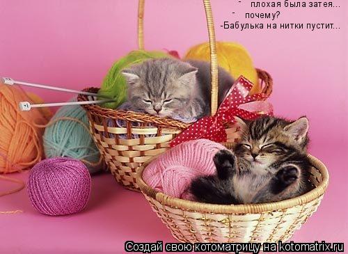 плохая была затея... почему? - - -Бабулька на нитки пустит...... Котоматрица: плохая была затея... почему? - - -Бабулька на нитки пустит...