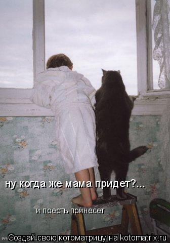 ну когда же мама придет?... и поесть принесет..... Котоматрица: ну когда же мама придет?... и поесть принесет..