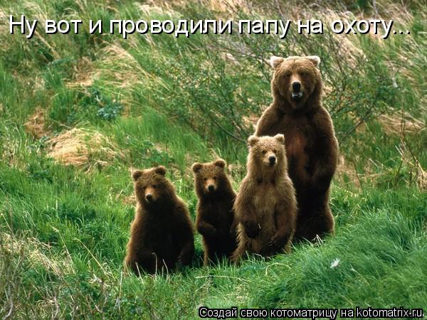 Ну вот и проводили папу на охоту...... Котоматрица: Ну вот и проводили папу на охоту...