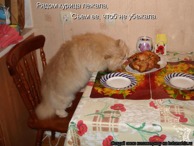 Рядом курица лежала, Съем ее, чтоб не убежала.... Котоматрица: Рядом курица лежала, Съем ее, чтоб не убежала.