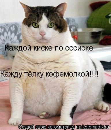 Каждой киске по сосиске! Кажду тёлку кофемолкой!!!!... Котоматрица: Каждой киске по сосиске! Кажду тёлку кофемолкой!!!!