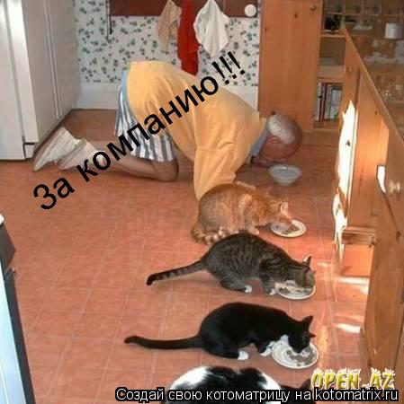 За компанию!!!... Котоматрица: За компанию!!!