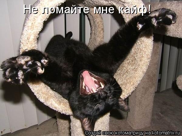 Котоматрица: Не ломайте мне кайф!