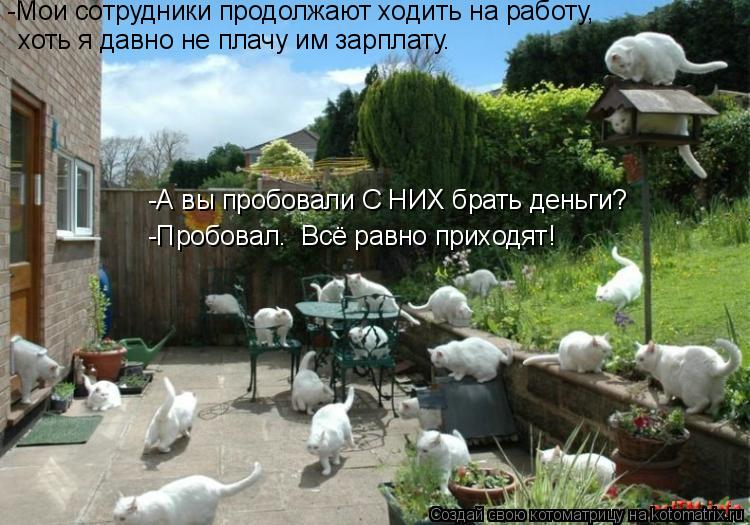 -Мои сотрудники продолжают ходить на работу, хоть я давно не плачу им зарплату. -А вы пробовали С НИХ... Котоматрица: -Мои сотрудники продолжают ходить на работу, хоть я давно не плачу им зарплату. -А вы пробовали С НИХ брать деньги? -Пробовал. Всё равно прихо