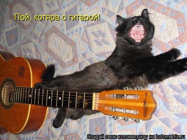 Пой, котяра с гитарой!... Котоматрица: Пой, котяра с гитарой!