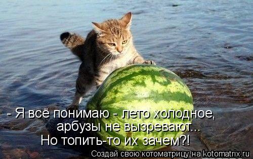 - Я всё понимаю - лето холодное, арбузы не вызревают... Но топить-то их зачем?!... Котоматрица: - Я всё понимаю - лето холодное, арбузы не вызревают... Но топить-то их зачем?!