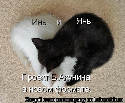 Инь и Янь Проект Б.Акунина в новом формате.... Котоматрица: Инь и Янь Проект Б.Акунина в новом формате.