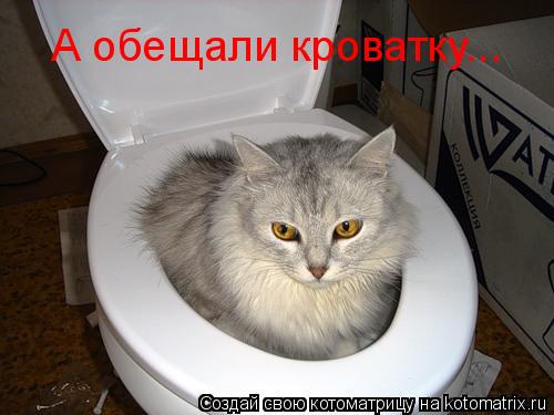 А обещали кроватку...... Котоматрица: А обещали кроватку...
