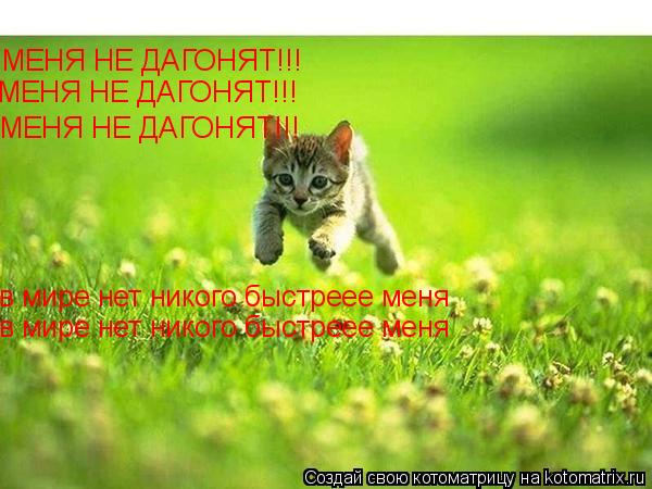 МЕНЯ НЕ ДАГОНЯТ!!! МЕНЯ НЕ ДАГОНЯТ!!! МЕНЯ НЕ ДАГОНЯТ!!! в мире нет никого быстреее меня в мире нет н... Котоматрица: МЕНЯ НЕ ДАГОНЯТ!!! МЕНЯ НЕ ДАГОНЯТ!!! МЕНЯ НЕ ДАГОНЯТ!!! в мире нет никого быстреее меня в мире нет никого быстреее меня