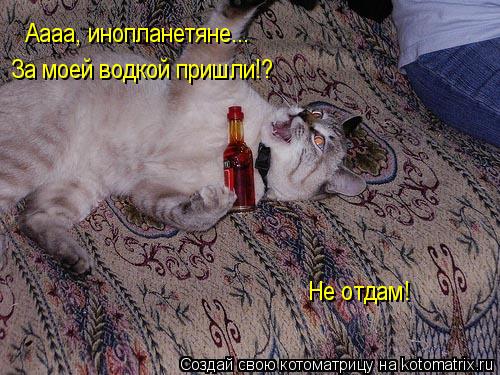 Аааа, инопланетяне... За моей водкой пришли!? Не отдам!... Котоматрица: Аааа, инопланетяне... За моей водкой пришли!? Не отдам!