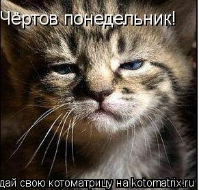 Чёртов понедельник!... Котоматрица: Чёртов понедельник!