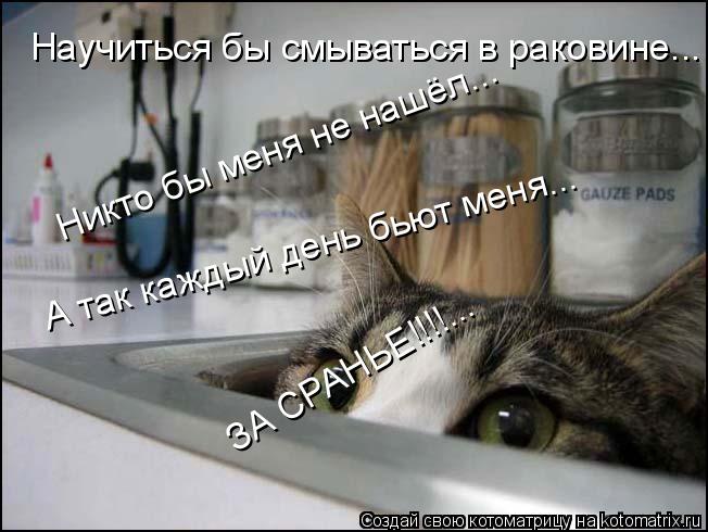 Научиться бы смываться в раковине... Никто бы меня не нашёл... А так каждый день бьют меня... ЗА СРАН... Котоматрица: Научиться бы смываться в раковине... Никто бы меня не нашёл... А так каждый день бьют меня... ЗА СРАНЬЕ!!!!...