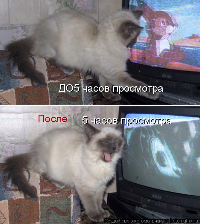 ДО 5 часов просмотра 5 часов просмотра После... Котоматрица: ДО 5 часов просмотра 5 часов просмотра После
