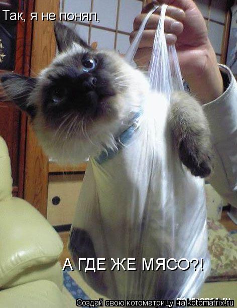 Так, я не понял,а мясо ты в магазине забыла?! Так, я не понял, А ГДЕ ЖЕ МЯСО?!... Котоматрица: Так, я не понял,а мясо ты в магазине забыла?! Так, я не понял, А ГДЕ ЖЕ МЯСО?!