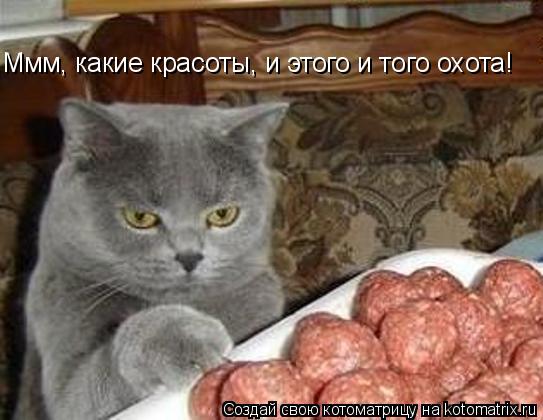 Ммм, какие красоты, и этого и того охота!... Котоматрица: Ммм, какие красоты, и этого и того охота!