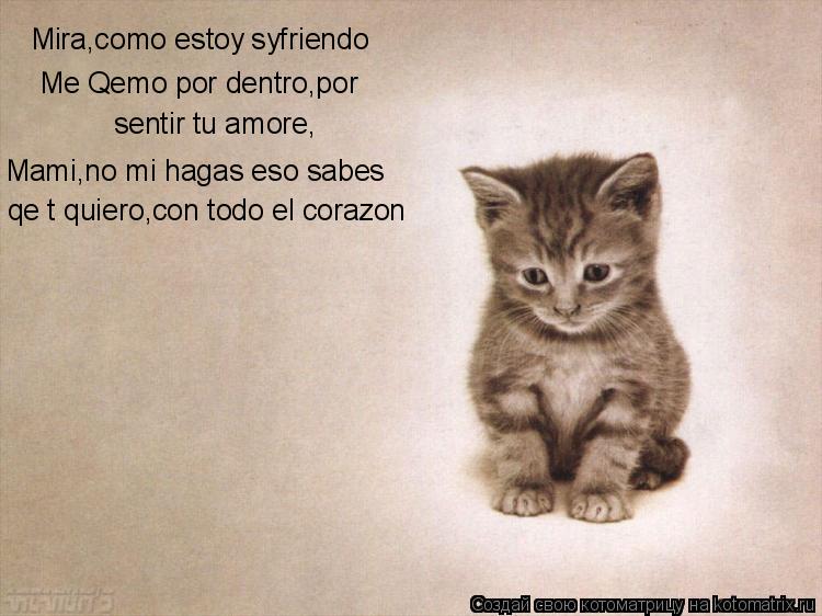 Mira,como estoy syfriendo Me Qemo por dentro,por sentir tu amore, Mami,no mi hagas eso sabes qe t qu... Котоматрица: Mira,como estoy syfriendo Me Qemo por dentro,por sentir tu amore, Mami,no mi hagas eso sabes qe t quiero,con todo el corazon