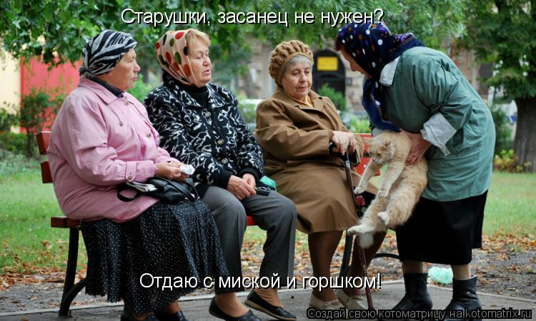 Старушки, засанец не нужен? Отдаю с миской и горшком!... Котоматрица: Старушки, засанец не нужен? Отдаю с миской и горшком!
