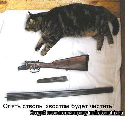 Опять стволы хвостом будет чистить!... Котоматрица: Опять стволы хвостом будет чистить!
