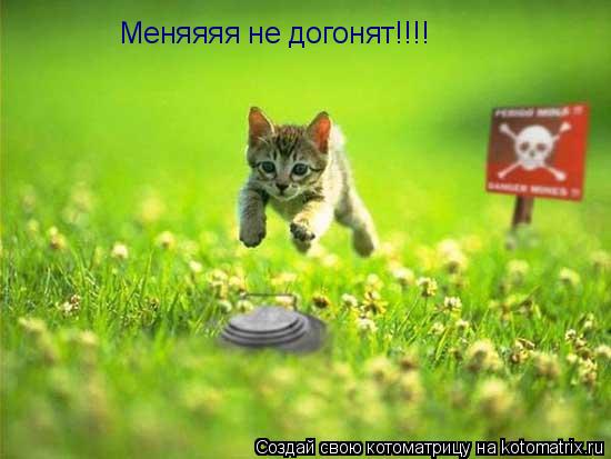 Меняяяя не догонят!!!!... Котоматрица: Меняяяя не догонят!!!!
