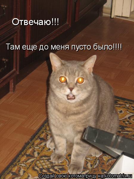 Отвечаю!!! Там еще до меня пусто было!!! Отвечаю!!! Там еще до меня пусто было!!!!... Котоматрица: Отвечаю!!! Там еще до меня пусто было!!! Отвечаю!!! Там еще до меня пусто было!!!!