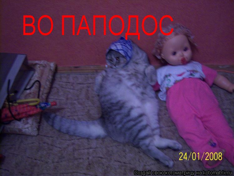 ВО ПАПОДОС... Котоматрица: ВО ПАПОДОС