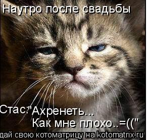 Наутро после свадьбы Стас: "Ахренеть... Как мне плохо..=(("... Котоматрица: Наутро после свадьбы Стас: "Ахренеть... Как мне плохо..=(("