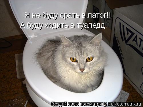 Я не буду срать в латог!! А буду ходить в туаледд!... Котоматрица: Я не буду срать в латог!! А буду ходить в туаледд!