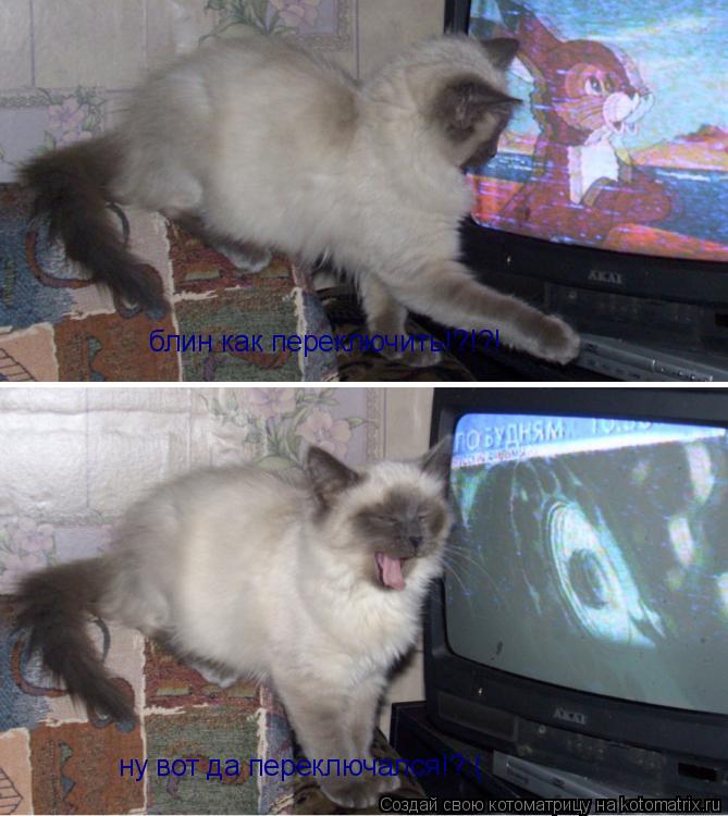 блин как переключить!?!?! ну вот да переключался!?:(... Котоматрица: блин как переключить!?!?! ну вот да переключался!?:(