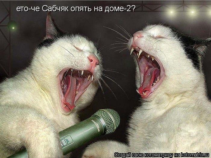 ето-че Сабчяк опять на доме-2?... Котоматрица: ето-че Сабчяк опять на доме-2?