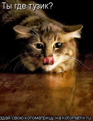 Ты где тузик?... Котоматрица: Ты где тузик?