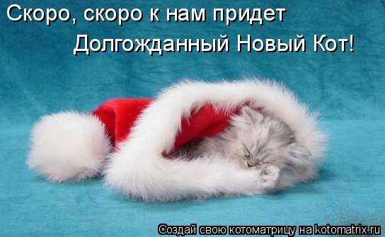 Котоматрица: Скоро, скоро к нам придет Долгожданный Новый Кот!