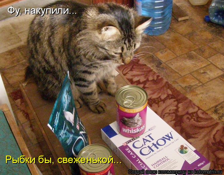 Фу, накупили... Рыбки бы, свеженькой...... Котоматрица: Фу, накупили... Рыбки бы, свеженькой...