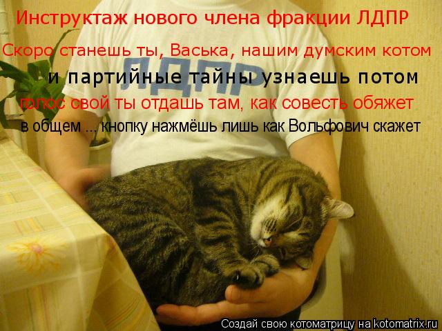 Инструктаж нового члена фракции ЛДПР Скоро станешь ты, Васька, нашим думским котом и партийные тайны ... Котоматрица: Инструктаж нового члена фракции ЛДПР Скоро станешь ты, Васька, нашим думским котом и партийные тайны узнаешь потом голос свой ты отдашь там