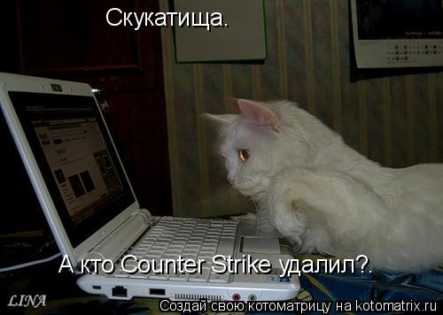 Скукатища. А кто Counter Strike удалил?.... Котоматрица: Скукатища. А кто Counter Strike удалил?.