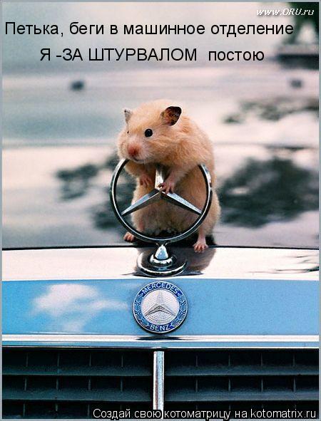 Котоматрица: Петька, беги в машинное отделение Я -ЗА ШТУРВАЛОМ  постою