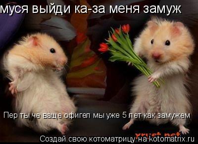 муся выйди ка-за меня замуж Пер ты че ваще офигел мы уже 5 лет как замужем... Котоматрица: муся выйди ка-за меня замуж Пер ты че ваще офигел мы уже 5 лет как замужем