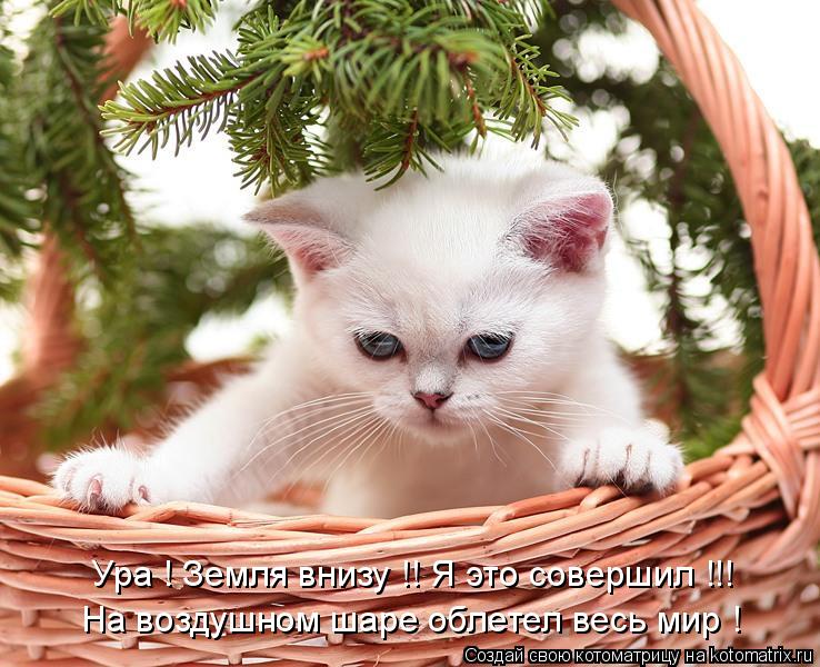 Ура ! Земля внизу !! Я это совершил !!! На воздушном шаре облетел весь мир !... Котоматрица: Ура ! Земля внизу !! Я это совершил !!! На воздушном шаре облетел весь мир !