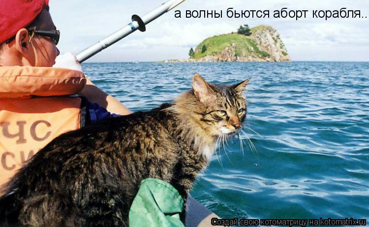 а волны бьются аборт корабля...... Котоматрица: а волны бьются аборт корабля...