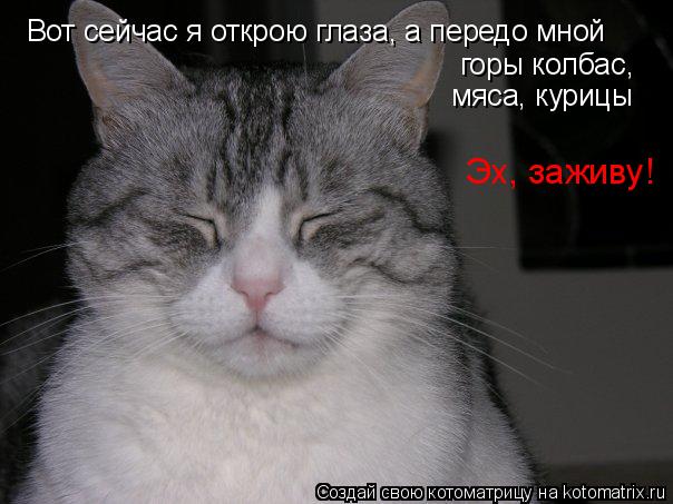 Вот сейчас я открою глаза, а передо мной горы колбас, мяса, курицы Эх, заживу!... Котоматрица: Вот сейчас я открою глаза, а передо мной горы колбас, мяса, курицы Эх, заживу!