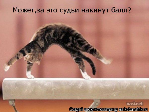 Может,за это судьи накинут балл?... Котоматрица: Может,за это судьи накинут балл?