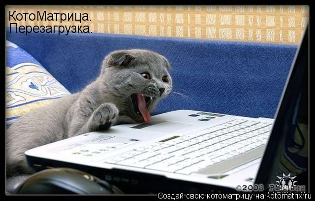 КотоМатрица. Перезагрузка.... Котоматрица: КотоМатрица. Перезагрузка.
