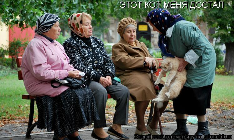 ЭТОТ КОТ МЕНЯ ДОСТАЛ... Котоматрица: ЭТОТ КОТ МЕНЯ ДОСТАЛ