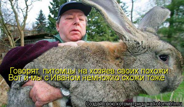 Говорят, питомцы на хозяев своих похожи Вот и мы с Иваном немножко схожи тоже... Котоматрица: Говорят, питомцы на хозяев своих похожи Вот и мы с Иваном немножко схожи тоже