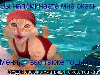 Вы напоминаете мне океан... Меня от вас также тошнит.... Котоматрица: Вы напоминаете мне океан... Меня от вас также тошнит.