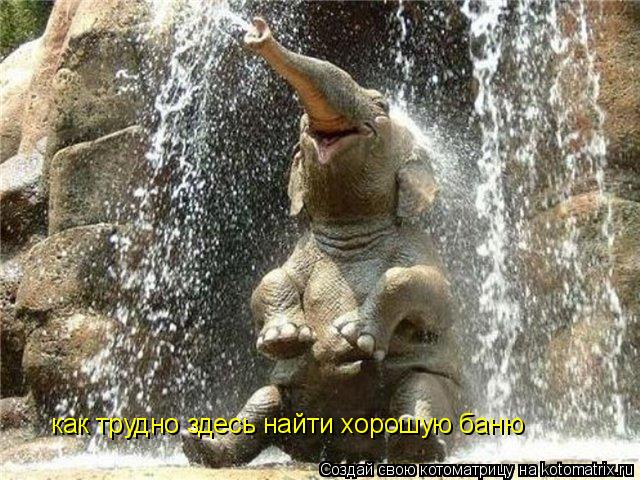 как трудно здесь найти хорошую баню... Котоматрица: как трудно здесь найти хорошую баню