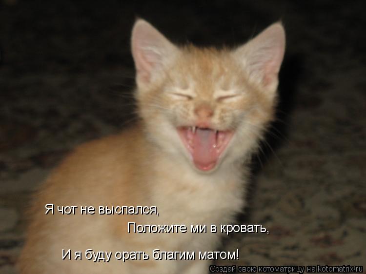 Я чот не выспался, Положите ми в кровать, И я буду орать благим матом!... Котоматрица: Я чот не выспался, Положите ми в кровать, И я буду орать благим матом!