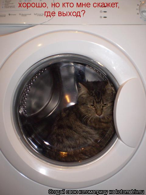 хорошо, но кто мне скажет, где выход?... Котоматрица: хорошо, но кто мне скажет, где выход?