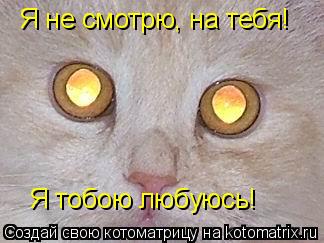 Я не смотрю, на тебя! Я тобою любуюсь!... Котоматрица: Я не смотрю, на тебя! Я тобою любуюсь!