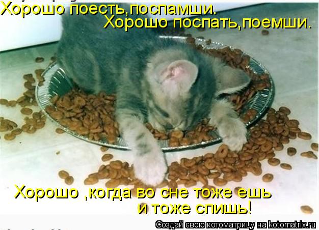 Хорошо поесть,поспамши. Хорошо поспать,поемши. Хорошо ,когда во сне тоже ешь и тоже спишь!... Котоматрица: Хорошо поесть,поспамши. Хорошо поспать,поемши. Хорошо ,когда во сне тоже ешь и тоже спишь!