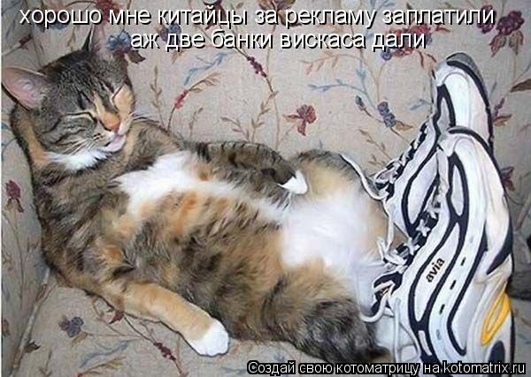 хорошо мне китайцы за рекламу заплатили аж две банки вискаса дали... Котоматрица: хорошо мне китайцы за рекламу заплатили аж две банки вискаса дали